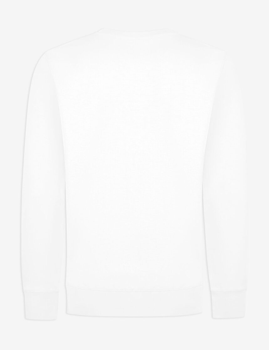 Product view, rear